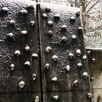 Зима в Южной Германии 28 :: Алексей Кузнецов