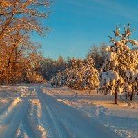 Декабрь, солнце и мороз 09 :: Андрей Дворников