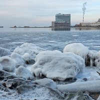 Владивосток, Приморский край :: Елена Никитина