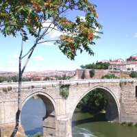 Мост через реку Тежу, г. Толедо, Испания :: ГЕНРИХ 