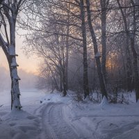 ... :: Евгений(Жора) Житников