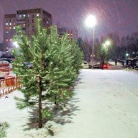 А снег идет... :: Наталья Пендюк Пендюк