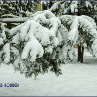 Зима :: Анатолий Уткин