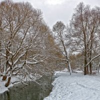 Зима, снежный декабрь :: Светлана 