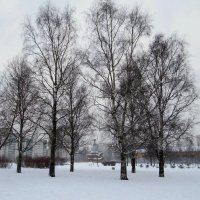 Парк зимой :: Вера Щукина