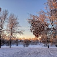 Летний сад :: Сергей Кочнев