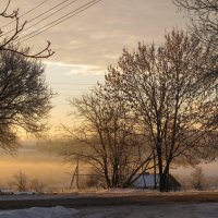 Утренний туман :: Юрий Шевляков