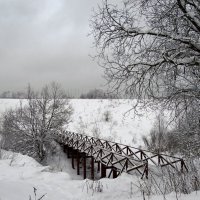 зима снежная :: Валентина. .