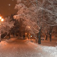 Москва. После снегопада... :: Наташа *****