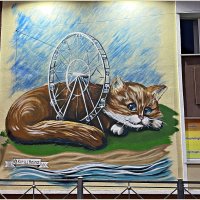 Зеленоградск - город котов и кошек. :: Валерия Комова