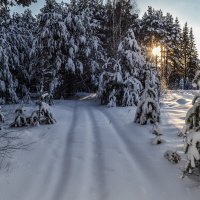 дорога в сказку :: сергей 