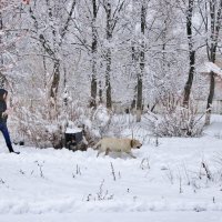 Если с другом вышел в путь, веселей дорога. :: Восковых Анна Васильевна 