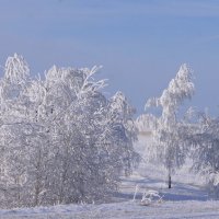 Зимний придорожный пейзаж. :: сергей 