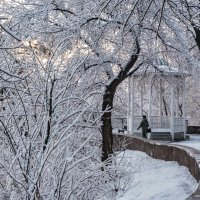 Зима, беседка опустела... :: Сергей Шатохин 