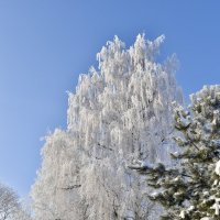Зима в России :: Владимир 