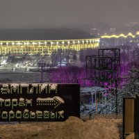 Пасмурно-снежная новогодняя ночь на Воробьёвых горах. :: Дмитрий Балашов