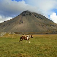 Исландский пейзаж :: Игорь Матвеев 