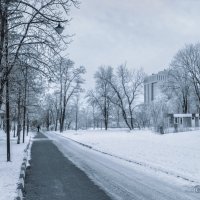 Зима в центральном парке Белгорода :: Игорь Сарапулов