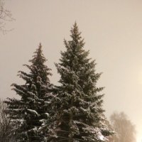 Туман в новогоднем городе :: Надежд@ Шавенкова