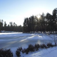 Мороз и солнце. Озеро и рыбак... :: Тамара Бедай 