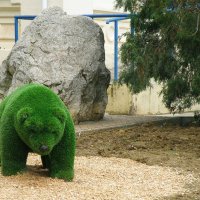 Зелёный медвежонок :: Александр Рыжов