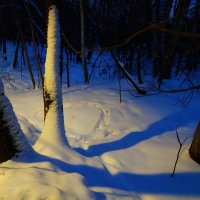 Приметы зимы :: Андрей Лукьянов