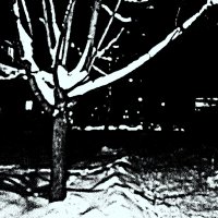 зимняя ночь :: Любовь 