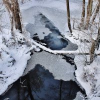 Речка Калмычок село Октябрьское Воронежской области. :: Восковых Анна Васильевна 