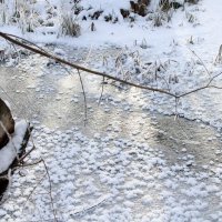 Снежные хризантемы  на речке Калмычок. :: Восковых Анна Васильевна 