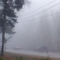 Туман на дороге :: Михаил 