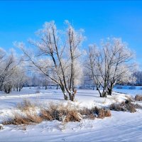 Прогулка зимняя у пруда замёрзшего :: Mikhail Irtyshskiy