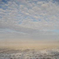 Туманное утро :: Anna Ivanova