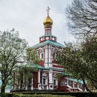 Новодевичий монастырь :: Ирина Соловьёва