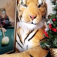 Я в лапах тигра! :: Валентина  Нефёдова 