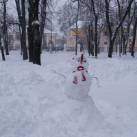 Снеговик в Наташином парке :: Galina Solovova