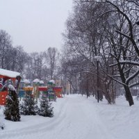 Зима в Наташином парке :: Galina Solovova