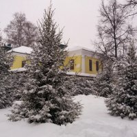 В зимнем парке :: Galina Solovova