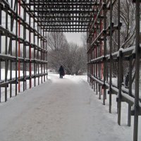 Портал в зиму. :: Борис Бутцев