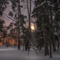 Лунный свет... :: Александр Попович