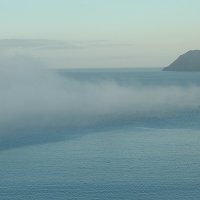 Туман от моря поднимается :: Natalia Harries