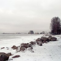 Зимний пейзаж. :: VasiLina *