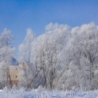 Зима. :: Петр Беляков