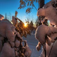 Встало солнце красное, озаряя снег. :: Vladimbormotov 