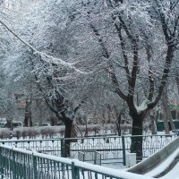 Зима  в парке :: Валентин Семчишин