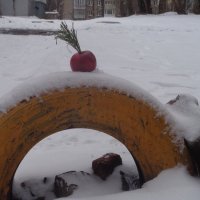 Зимнее "Колесо обозрения" жизни нашего двора... :: Alex Aro Aro Алексей Арошенко