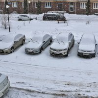 Снежный январь :: Светлана 