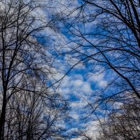"Небо в кронах деревьев..." :: Сяргей Зайцаў (Lesavik)