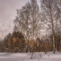 Прошли морозы... :: Александр Попович