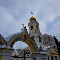 Крещение в Москве :: Андрей Лукьянов