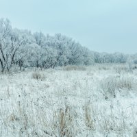 Про Питер :: Владимир Колесников